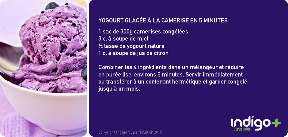 recette de yogourt glacee aux camerises